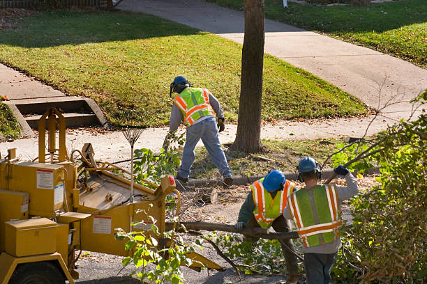 Best Emergency Storm Tree Removal  in Venersborg, WA